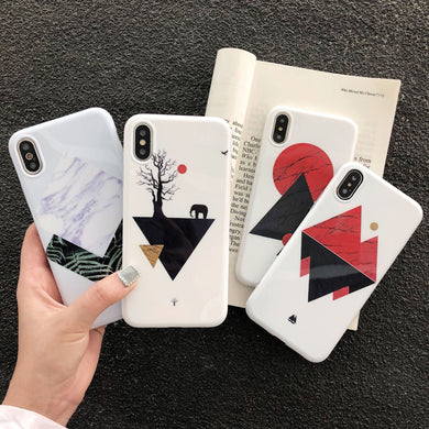 Fashion Geometric Colorful Case