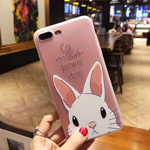 Watermelon Case